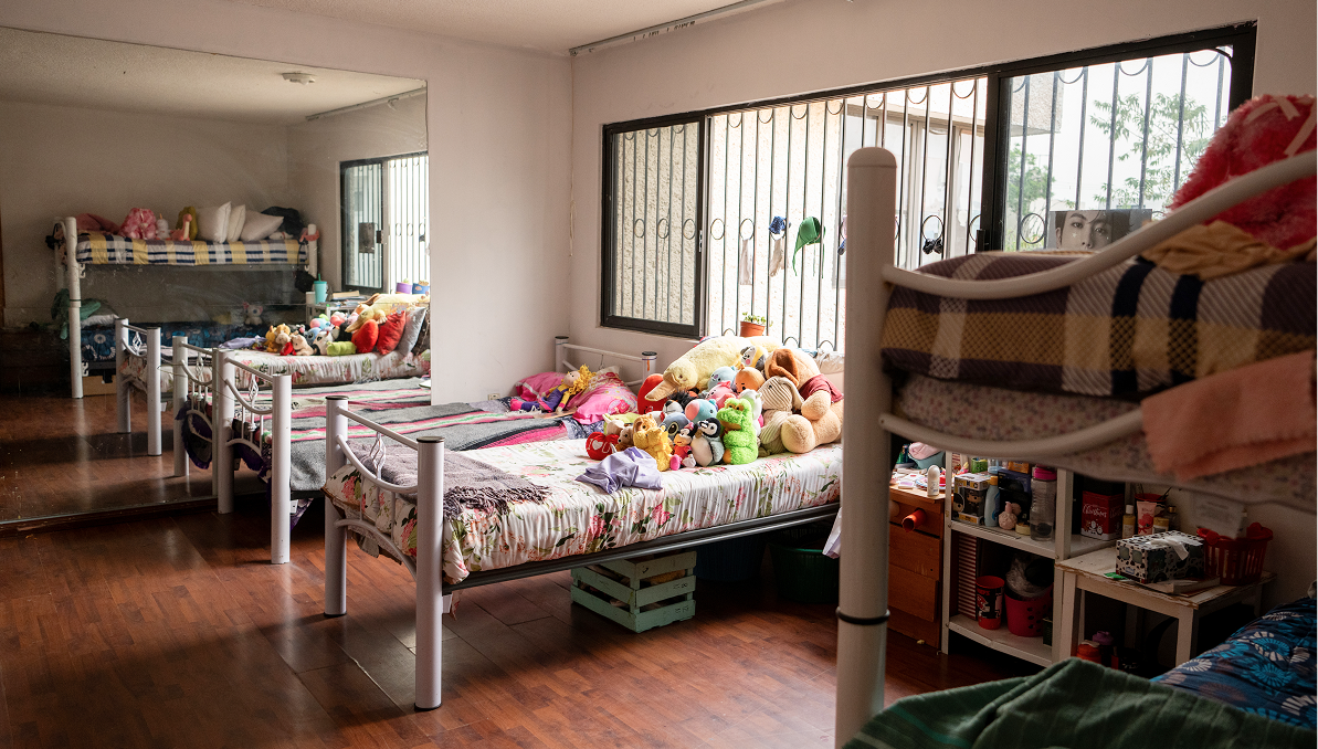 Construction of Specialized Shelters: